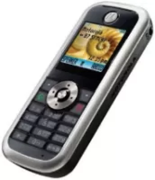Sell My Motorola W213