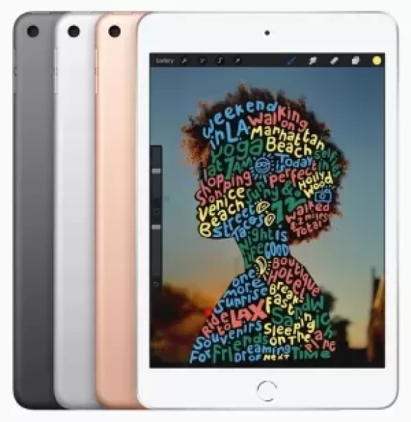 Sell My Apple iPad Mini 7.9 5th Gen 2019 WiFi 256GB